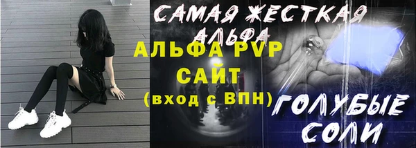 стафф Вязьма